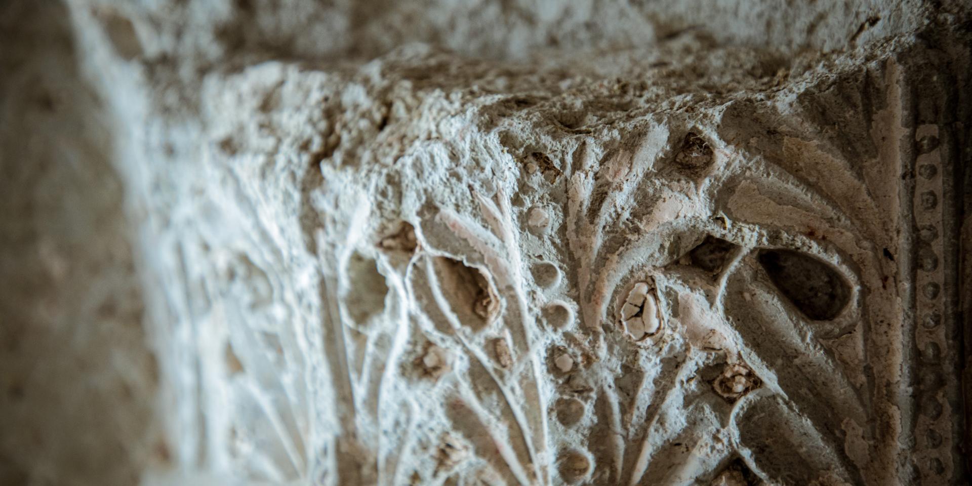 G Sud Tg Musee Gdselve 15