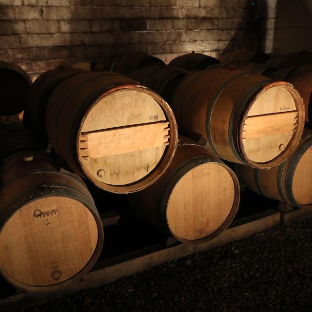 ® Jerome Morel Img 9271